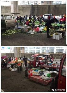 半山小镇爆料最新消息是真的吗,最新消息真实性揭秘  第2张