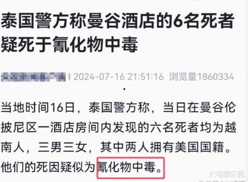 乐清网红事件最新爆料新闻  第3张